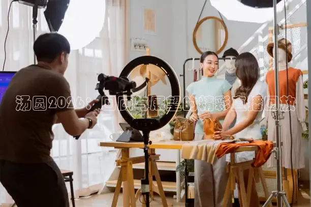 汤圆2026：回顾与展望的精彩直播回放